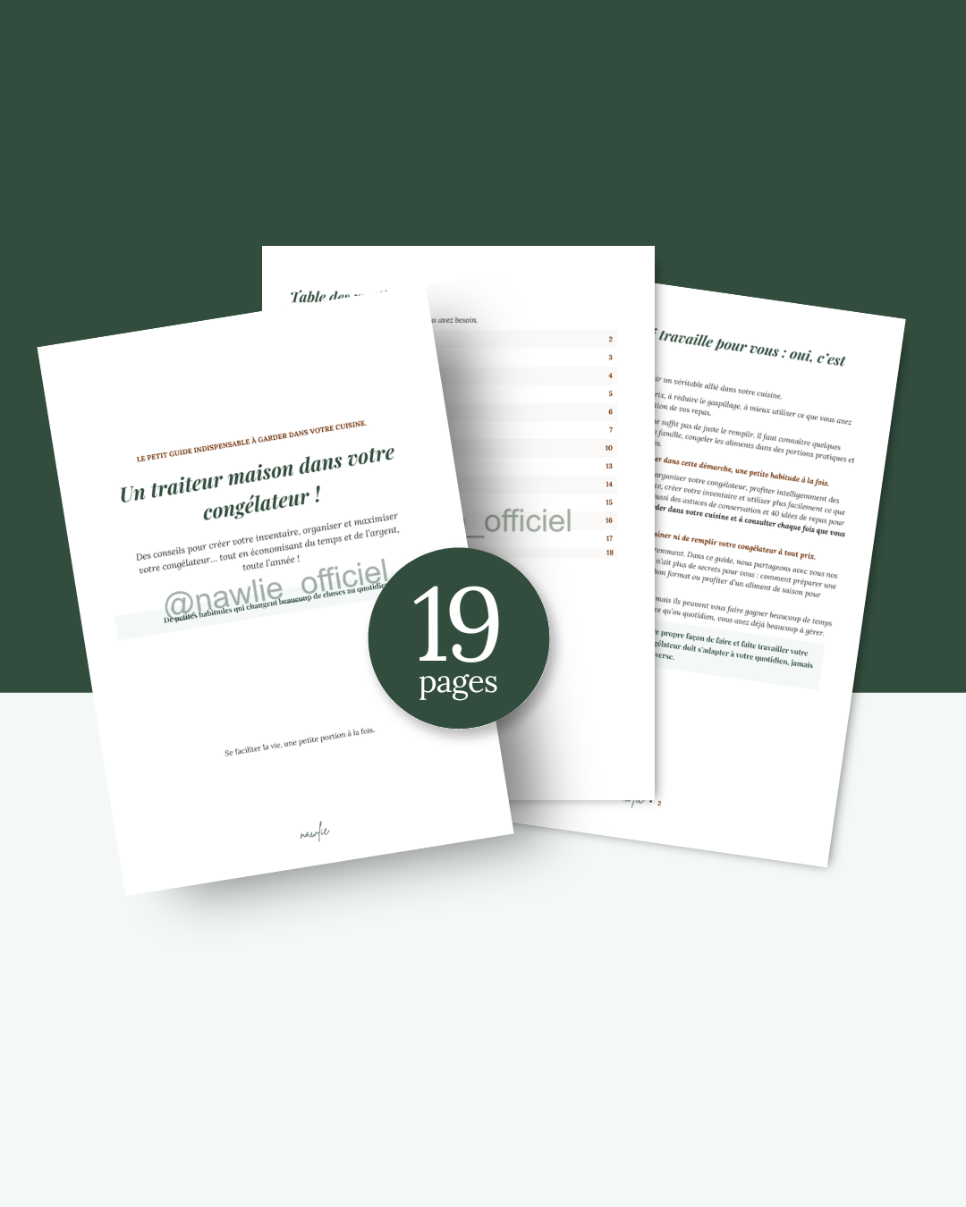 Guide : Un traiteur maison dans votre congélateur!