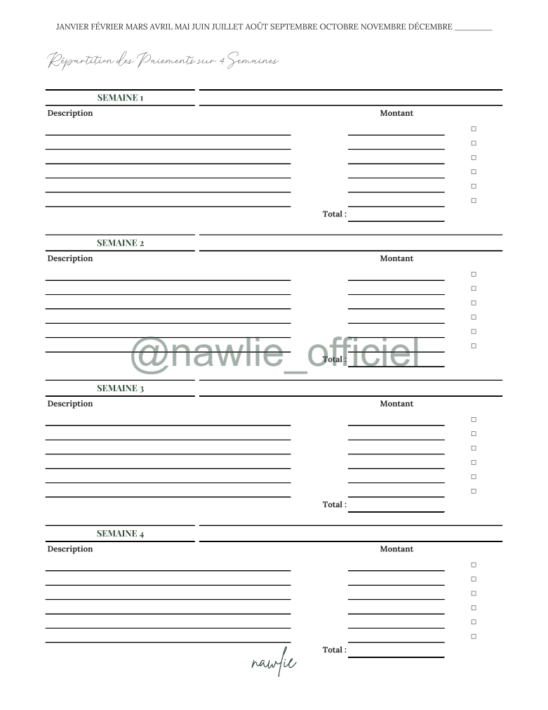 4-Week Payment Schedule